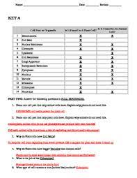 We did not find results for: Plant And Animal Cell Organelles Quiz By Steam Crazy Tpt