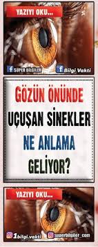 Doc Dr Yaprak Banu Unver Gozde Sinek Ucusmalarinin Ozellikle Isik Cakmasi Ile Beraber Goruldugunde Goz Hekimine Saglikli Yasam Saglikli Yasam Tarzi Saglik