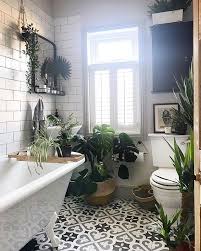 Jungle Having To Rehouse A Lot Of The Plant Babies Whilst The Dining Room Makeover Is In F Dining Room Makeover Modern White Bathroom Farmhouse Master Bathroom