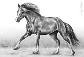 We did not find results for: 9 Horse Sketches Free Premium Templates