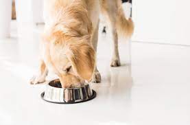 Fda Warns Of Possible Link Between Dog Food And Heart Disease And Identifies 16 Food Brands Dog Food Recipes Food Animals High Protein Dog Food