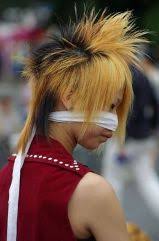 Last, asian hair (and hair follicles) has a lower density than caucasian hair and it's also thicker per strand. Asian Hair Facts