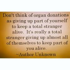 To say a grateful thanks to the donors of organs. Pin By Bethany Goralski On Some Of My Favorite Quotes Donation Quotes Organ Donation Quotes Organ Donation