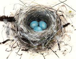 Saatchi Online Artist Lucy Newton Nest Goruntuler Ile Kus Yuvasi Tablolar Kus