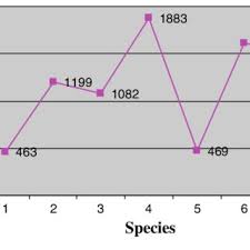 Image result for Corchorus schimperi