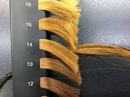 ãããªã¼ã é«ªãã®ç»åæ¤ç´¢çµæ