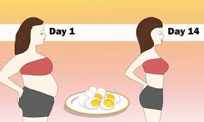 Check spelling or type a new query. Lose 24 Pounds In 2 Weeks With This Boiled Egg Diet Plan