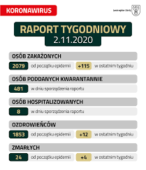 Ponad 17 mln zakażonych koronawirusem na świecie. Koronawirus Raport Tygodniowy Jastrzebie Zdroj