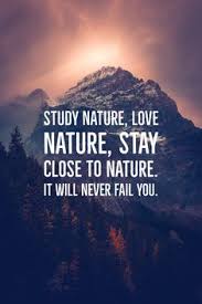 If it is something that sits on the shelf that you don't know what to do with, it is not true to the nature of love! 60 Best Quotes On Nature Human Nature Quotes 2020 We 7