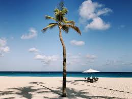 Open 7 days a week located directly on the beach. Insel Guide Aruba Mehr Als Strandurlaub Black Dots White Spots