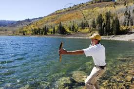 Duck Fork Reservoir Fishing Utah Lakes And Reservoirs