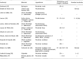 Check spelling or type a new query. Pdf The Nucleolonema Of Plant And Animal Cells A Comparison Semantic Scholar