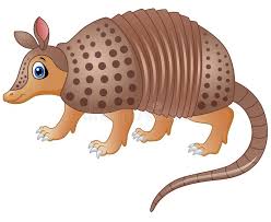 Armadillo Cartoon Stock Illustrations 614 Armadillo Cartoon Stock Illustrations Vectors Clipart Dreamstime Armadillo has been driving her delivery truck all day, but hasn't made any deliveries because she's all mixed up with directions! armadillo cartoon stock illustrations