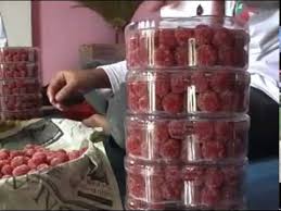 Check spelling or type a new query. Tagor S Project Strawberry Ciwidey Dokumenter Youtube