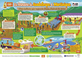 La Banane De Guadeloupe Martinique Une Culture Qui Respecte L Eau L Air Et La Terre Www Playbac Editions Speciales Fr Infographic