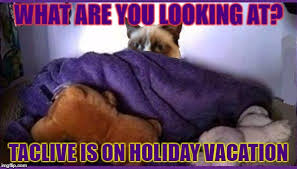 Grumpy House Sitting Memes Gifs Imgflip