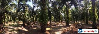 This property is situated just 26 feet west of adamana rd and 1.3 miles away from adamana, close to. Agricultural Land For Sale In Ipoh 10308 Photo 4 Klpropertylist Com