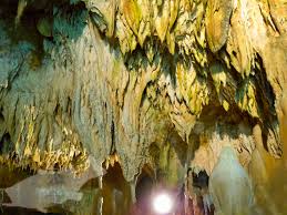 アカジンジャーナル