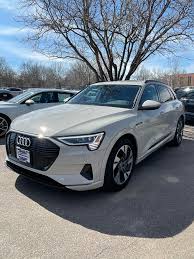 Image result for Siam Beige 2020 Audi