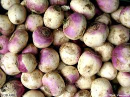 Image result for Brassica rapa