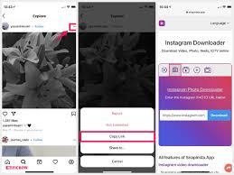 On inflact instagram downloader page paste a link to a field next to the download button; Instagram Photo Downloader Instagram Photo Download With Snapinsta