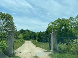 Ron Preston (@thereallordronaldpreston) • Instagram photos and videos