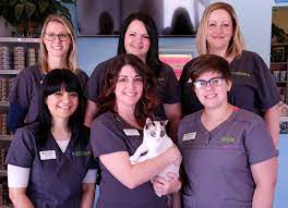 Union hills animal hospital is pleased to serve phoenix, az and the surrounding areas. Union Hill Animal Hospital Veterinarians Kansas City Missouri