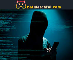 Cat watch android latest 1.0.2 apk download and install. Spy Chat App Catwatchful A Powerful Monitoring Solution