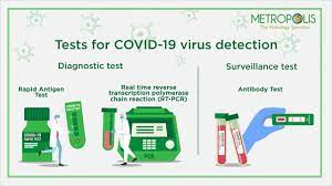 The rapid covid pcr test detects the genetic material of the virus using a lab technique called polymerase chain reaction (pcr). Difference Between Rt Pcr Antibody Rapid Antigen Test Youtube