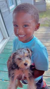 Is anyone missing a baby with a blue harness collar?