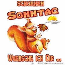 Https Encrypted Tbn0 Gstatic Com Images Q Tbn 3aand9gcq1cw3aro Bka8aql42kduaswtcnkatx5kmnw Usqp Cau