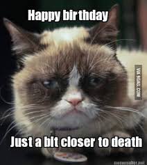 Check spelling or type a new query. Happy Birthday Grumpy Cat 2 Years Old 9gag