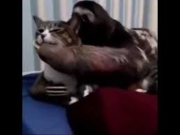 Hey How You Doin Lil Mama Let Me Whisper In Yo Ear Youtube