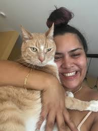 Has anyone seen our lost cat Sylvester near Dunlap and mountain market?