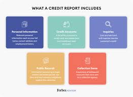 Aug 10, 2021 · hotel credit cards can offer free stays, room upgrades, brand loyalty perks and travel discounts. What Is A Credit Report Forbes Advisor