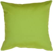 Westelm.com has been visited by 100k+ users in the past month Amazon Com Pillow Decor Sunbrella Macaw Green 20x20 Outdoor Pillow Kitchen Dining