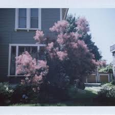Recorder's office 2020 real estate highlights. Tedfoo Instagram Posts Photos And Videos Picuki Com