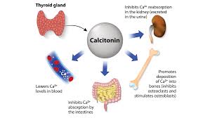 Image result for Hypercalcemia
