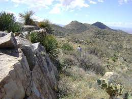 Elke dag worden duizenden nieuwe afbeeldingen. Hiking The Tortolita Mountains Discover Marana