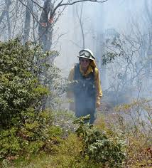 LANDFIRE Applications