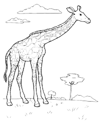 There are tons of great resources for free printable color pages online. Animals The Giraffe In The Savannah