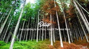 à¤¦ à¤² à¤ª Dilip Name Meaning In Hindi Latest Indian Baby Boy Names Rashi Nakshatra Numberology Anil அனில் m hinduism, indian, hindi, marathi, bengali, punjabi, gujarati, telugu, kannada, malayalam, tamil, nepali derived from sanskrit अनिल (anila) meaning air, wind. à¤¦ à¤² à¤ª dilip name meaning in hindi
