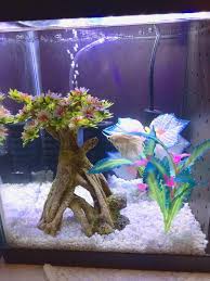 Rainbow crystal boba girls muscle top plus size. Top Fin Asian Cherry Blossom Tree Aquarium Ornament Fish Ornaments Petsmart