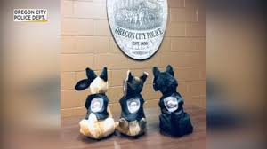 This rescue hasn't posted any pets that match these criteria. Cuddle For A Cause Oregon City Police Selling Stuffed Dogs News Kptv Com