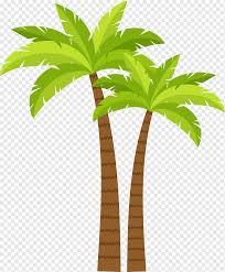 52 4 plant leaves growth. Coconut Tree Decoration Pattern Green Coconut Tree Green Trees Cartoon Png Pngwing