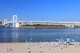 Formerly known as 东京湾 or 東京灣 during the roc period) is a gulf at the northwestern portion of the south china sea, located off the coasts of tonkin (northern vietnam) and south china. æ¼«éŠæ±äº¬ç£æµ·ç˜ æ±äº¬æ—…éŠå®˜æ–¹ç¶²ç«™go Tokyo