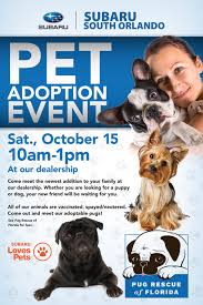 Qualität & sicherheit aus deutschland. Meet The Newest Member Of Your Family At Subaru South Orlando S Pet Adoption Event Subaru South Orlando Prlog