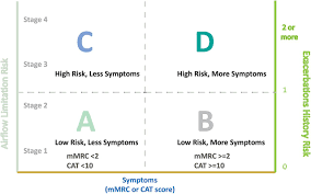 Spirometric classification of chronic obstructive pulmonary disease (copd) (based on postbronchodilator fev1). A Matched Group Study Protocol To Evaluate The Implementation Of An Integrated Care Pathway Programme For Chronic Obstructive Pulmonary Disease In Singapore Bmj Open