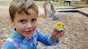 Kitty rock found at James E Grey Preserve