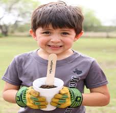 Texas 4-H Clover Guide